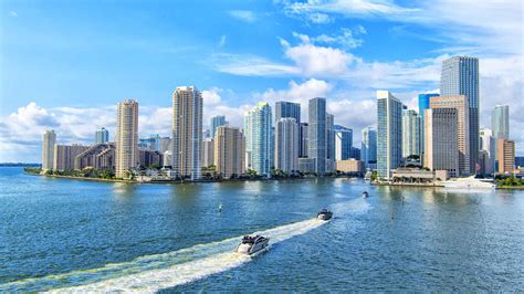 Florida Bearing Miami: A City of Dreams and Resilience