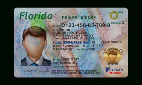 Florida Id Template
