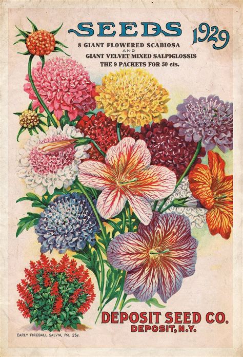 Flower Seed Catalogues