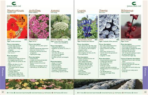 Flowers Seeds Catalog