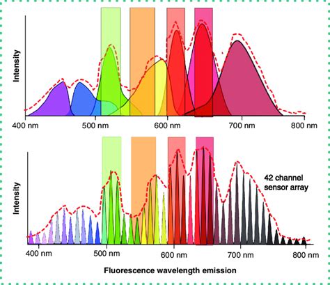 Fluorochrome Brightness Chart