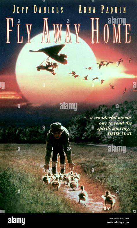 Fly Away Home