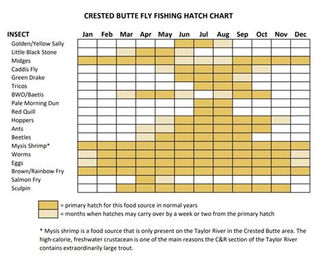 Fly Fishing Hatch Chart