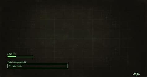 Fo4 Create A Custom Custom Vdsg Catalogue