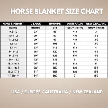 Foal Blanket Size Chart