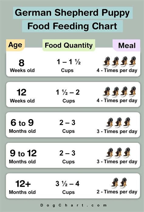 Food Chart For German Shepherd Puppy