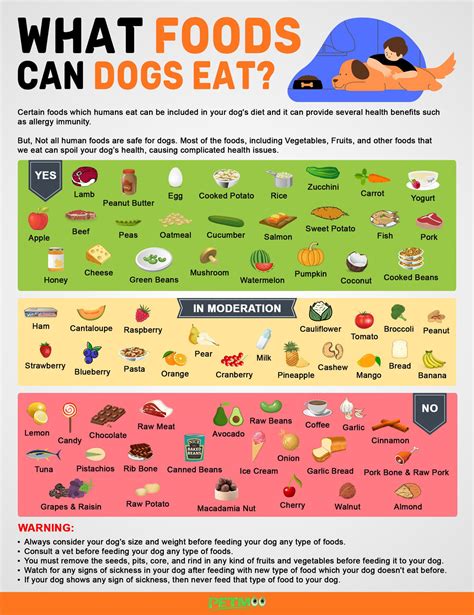 Foods Dogs Can Eat Chart