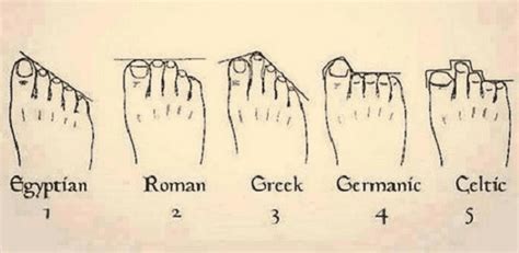 Foot Origin Chart