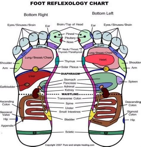 Foot Rubbing Chart