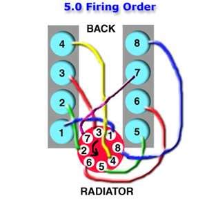 Ford 302 Plug Wiring Diagram