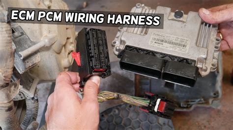 Ford Focus Wiring Connectors