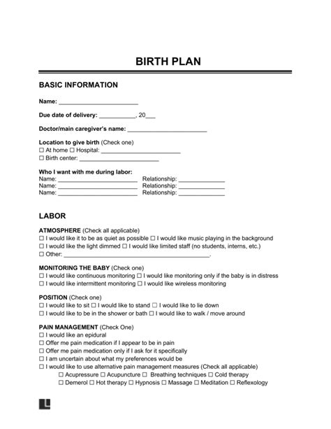 Free Birth Plan Template Word