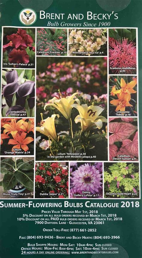 Free Bulb Catalogs