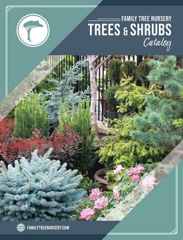 Free Flower And Tree Catalogs