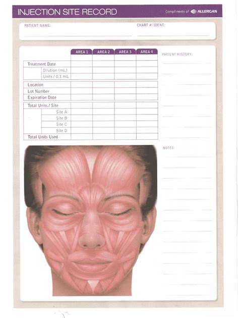 Free Printable Botox Face Chart