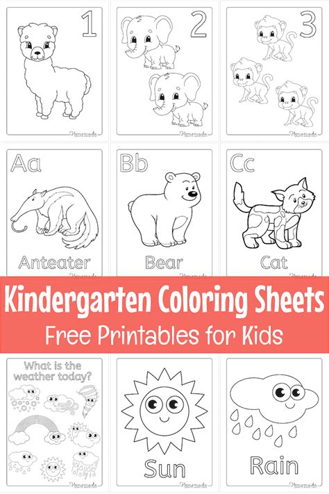 Free Printable Color Sheets For Preschool