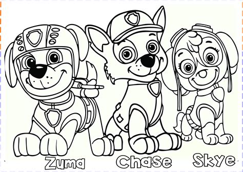 Free Printable Coloring Pages Paw Patrol