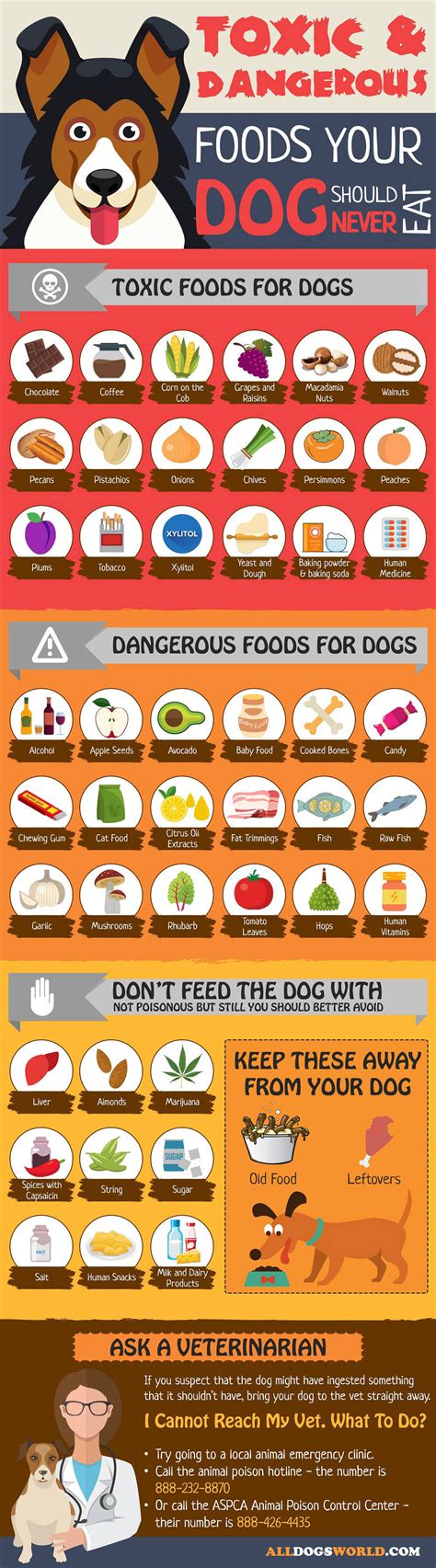 Free Printable List Of Toxic Foods For Dogs