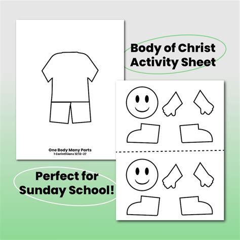 Free Printable One Body Many Parts Craft