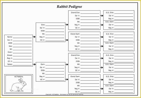 Free Rabbit Pedigree Template