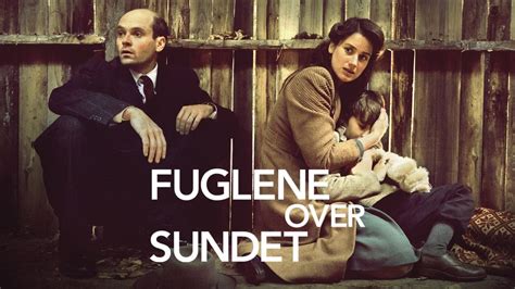 Freisetzung Fuglene Over Sundet