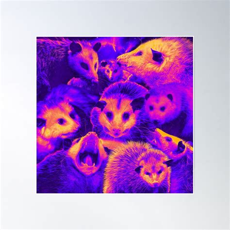 Freisetzung Possums