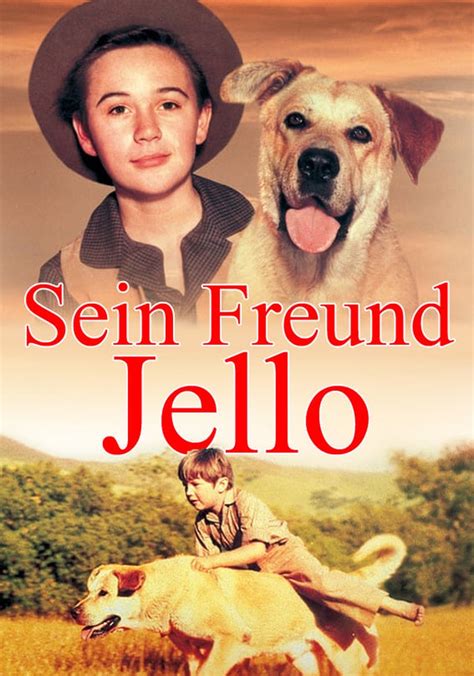Freisetzung Sein Freund Jello