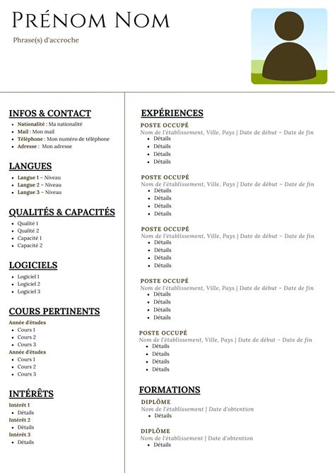 French Curriculum Vitae Template