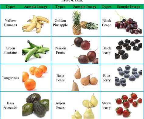 Fruit Classification Chart