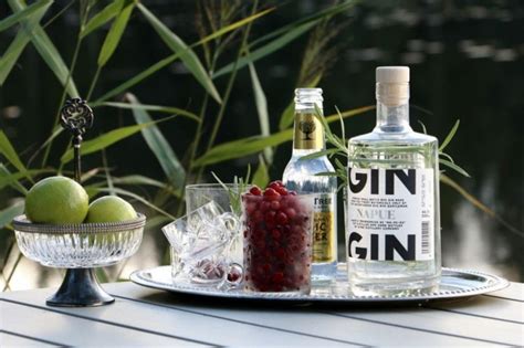 Fruktig drink med gin: Den perfekta drinken för sommaren