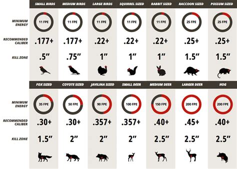 Ft Lbs Hunting Chart