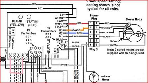 Furnace Motor Wiring Diagram