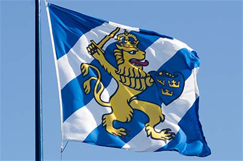 Göteborgs flagga