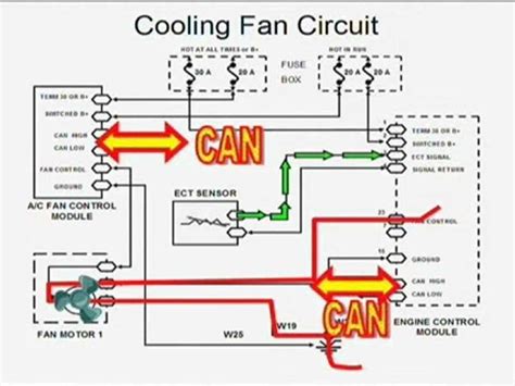 G35 Radiator Fan Wiring Diagram