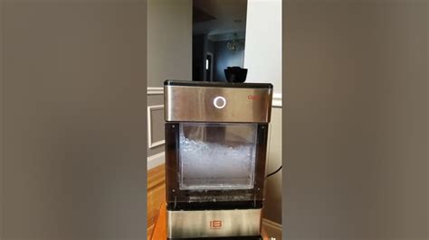 GE Opal Ice Maker: Troubleshoot the Squealing Noise