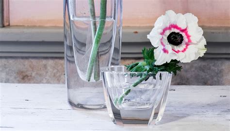Gamla vaser i glas: Ett tidslöst skönhetsarv