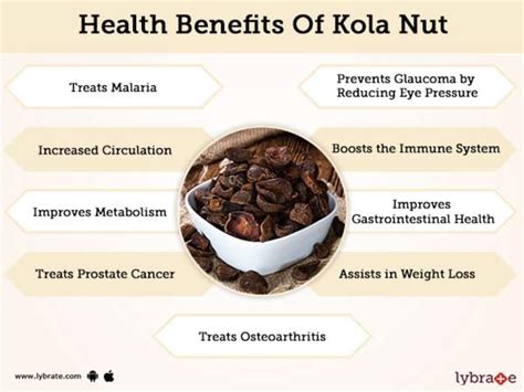 Gammal Kola: The Health Benefits and Risks
