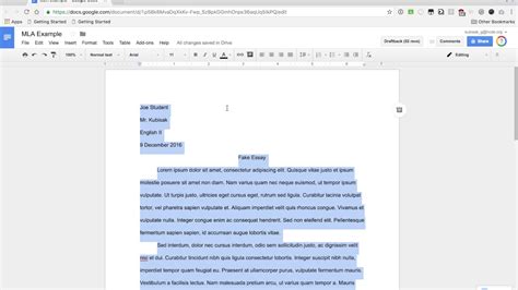 Google Docs Essay Template