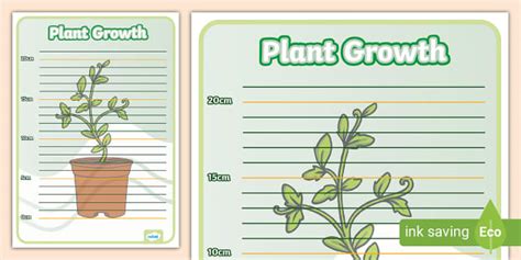 Growth Chart For Plants
