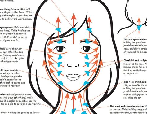 Gua Sha Face Chart