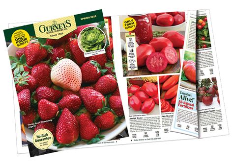 Gurney Seed Catalogs