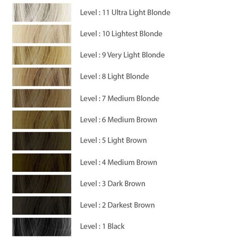 Hair Color Levels 1 10 Chart