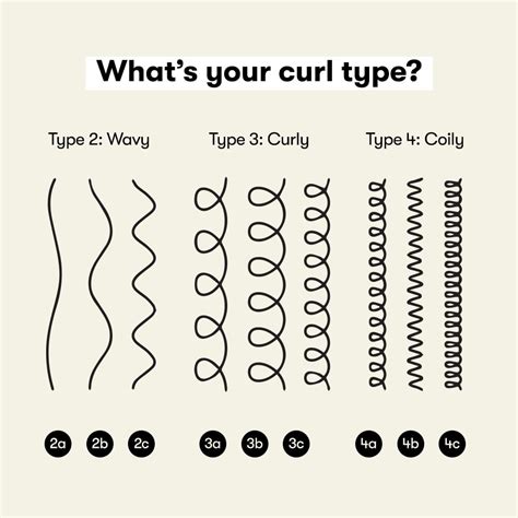 Hair Curl Chart