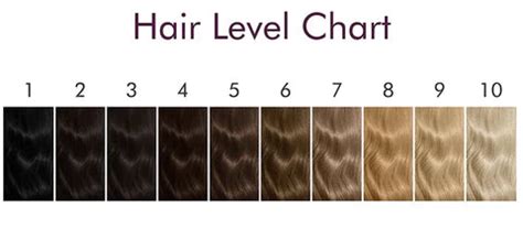 Hair Level Chart 1-10