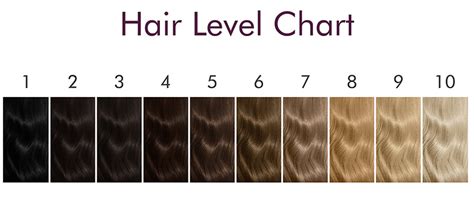 Hair Level Color Chart
