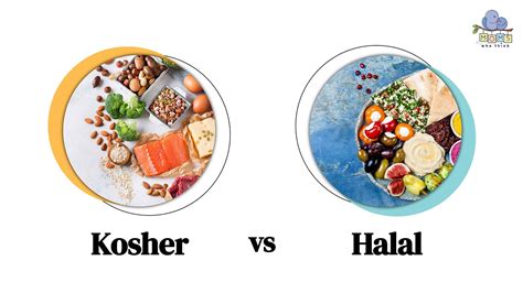 Halal Vs Kosher Chart