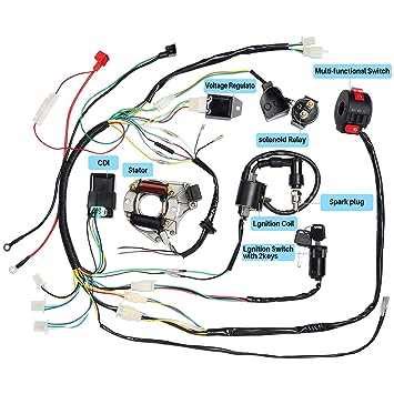 Hammerhead Wiring Diagram