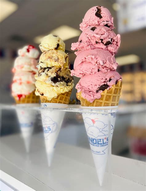 Handels Homemade Ice Cream & Yogurt: A Sweet Success Story in Medina