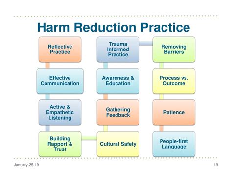 Harm Reduction Plan Template
