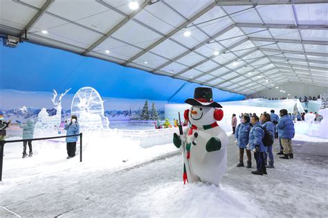 Harness the Winter Wonderland: Unraveling the Magic of Ice Snow Machines